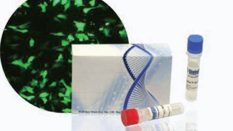 Optimised Gene Delivery Solution for Hard-to-Transfect Cells