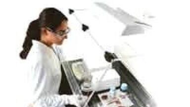 The Swc Weighing Cabinet– Since Safety Comes First