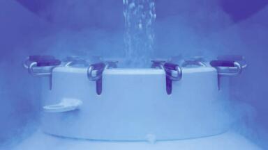 Chemically Defined Stem Cell Cryopreservation Solution