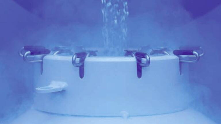 Chemically Defined Stem Cell Cryopreservation Solution