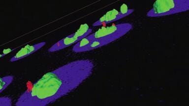 High Performance 3D Cellular Imaging Software Suite