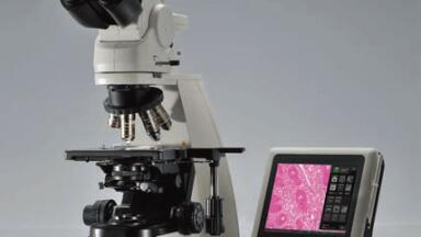 Experience the Clinical Evolution