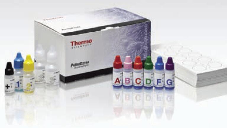 Faster Strep Grouping Solution