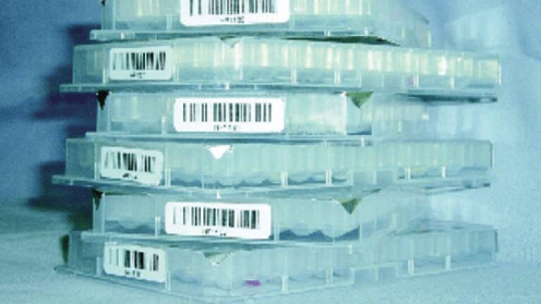 Screening Library Advances Drug Discovery Research at Temple University’s Moulder Centre