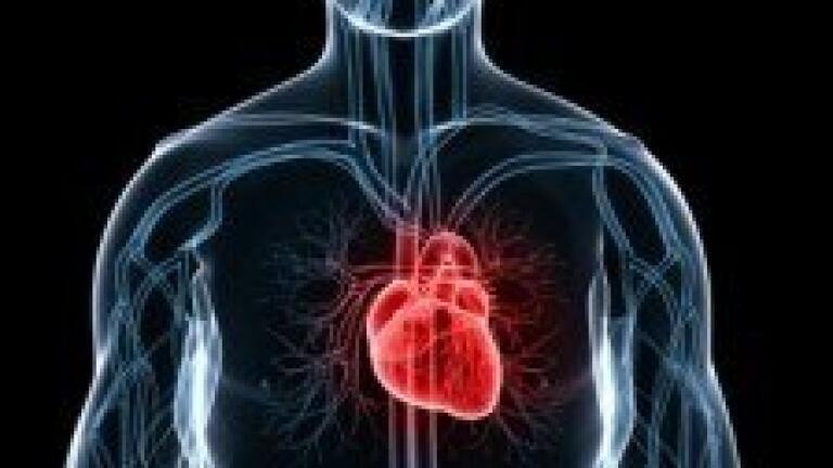 New molecule responsible for atherosclerosis