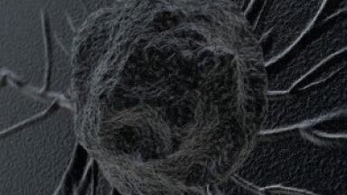 Major shortcomings found in cancer experimental systems