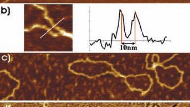 AFM used to Better Characterise Graphenes Properties