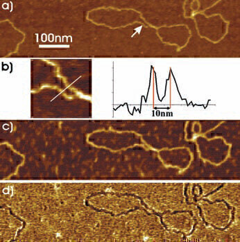 AFM used to Better Characterise Graphenes Properties