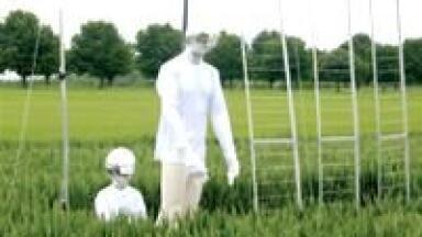Understanding Aagrochemical Spray Behaviour