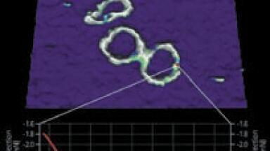 Quantitative Imaging Mode for the Most Challenging of AFM Samples