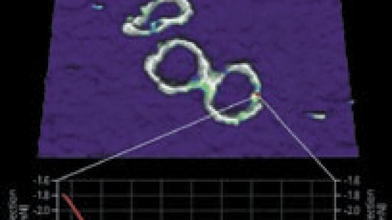 Quantitative Imaging Mode for the Most Challenging of AFM Samples