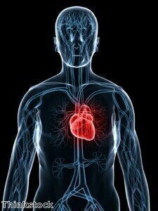 Direct link found between telomeres and heart attacks