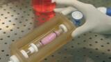 New Bioreactor for Stem Cell Derived Hollow Organ Generation
