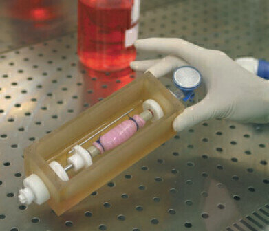New Bioreactor for Stem Cell Derived Hollow Organ Generation