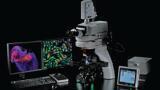 Modular Upright Research Microscopes for Bioscience and Medical Research