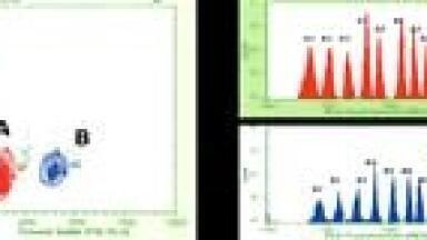 Multiplexing Detection Kits in Development