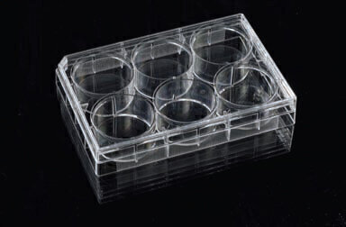 Expanded Range of Tissue Culture Treated Microplates