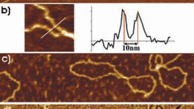 AFM Used to Better Characterise Graphenes Properties
