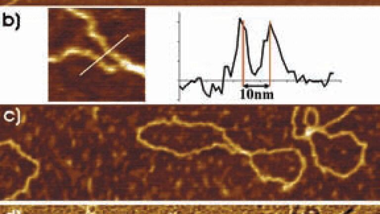 AFM Used to Better Characterise Graphenes Properties