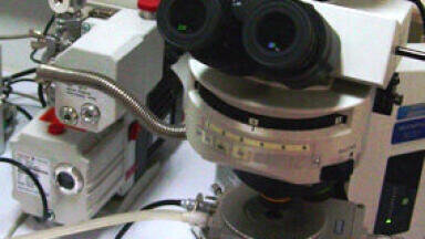 Temperature Controlled Stage Used to Examine Atmospheric and Vacuum Frying of Starch Granules in Oil and Water