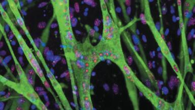 IN Cell Analyser Competition - Winners Announced