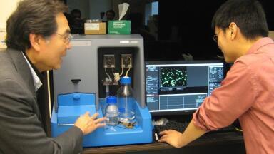 Nanoparticle Tracking Analysis used to Characterise Nanoconstructs for Biomedical Applications