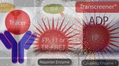 Innovative Screening Tools Accelerate Drug Discovery