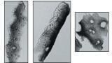 Supporting Cancer Drug Delivery Safety