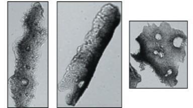 Supporting Cancer Drug Delivery Safety