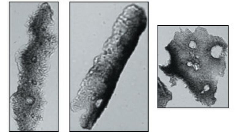Supporting Cancer Drug Delivery Safety