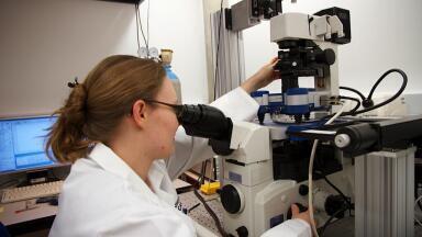 Report on the Research Activities of Dr Jochen Guck and his Teams at Dresden Cambridge Universities