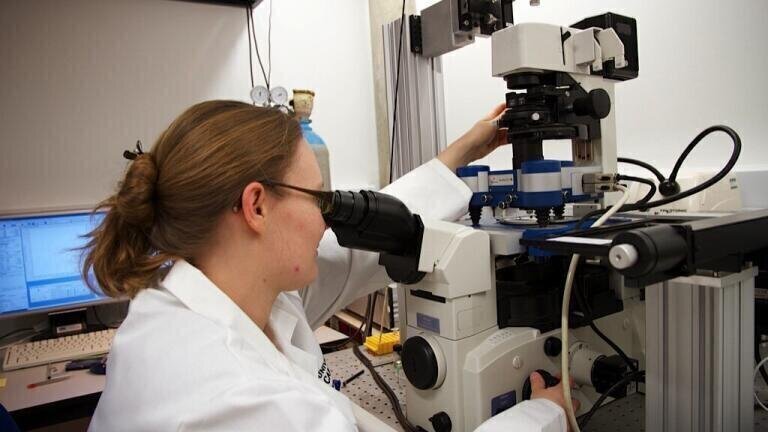 Report on the Research Activities of Dr Jochen Guck and his Teams at Dresden Cambridge Universities