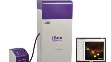 Macro to Micro Fluorescence In Vivo Imaging with the iBox Explorer Imaging Microscope  