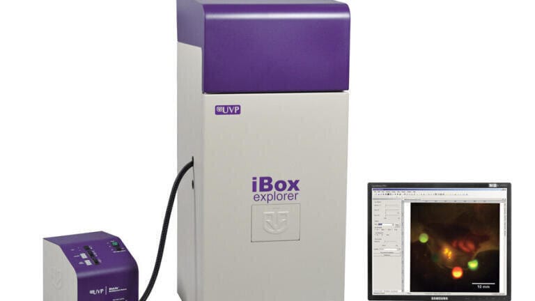 Macro to Micro Fluorescence In Vivo Imaging with the iBox Explorer Imaging Microscope  