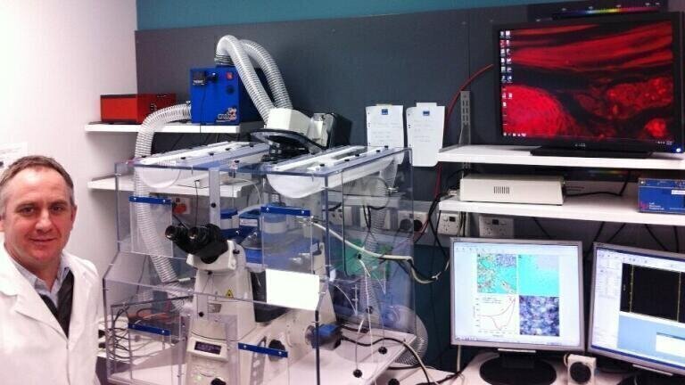 Report on the Biophysical Research Activities of Dr Michael Higgins of the University of Wollongong