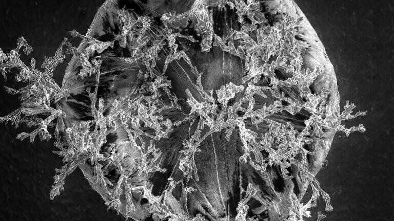 Image capturing research on safer air travel wins pioneering competition
