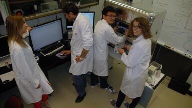 Report on the use of AFM Systems at the University of Calgary