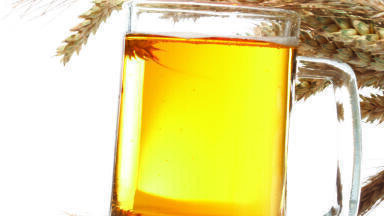 Nitrosamines in Malting Solutions