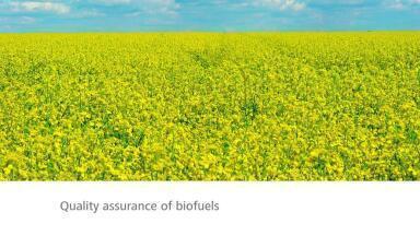 Straightforward Determination of Alkaline and Alkaline-Earth Cations in Biodiesel