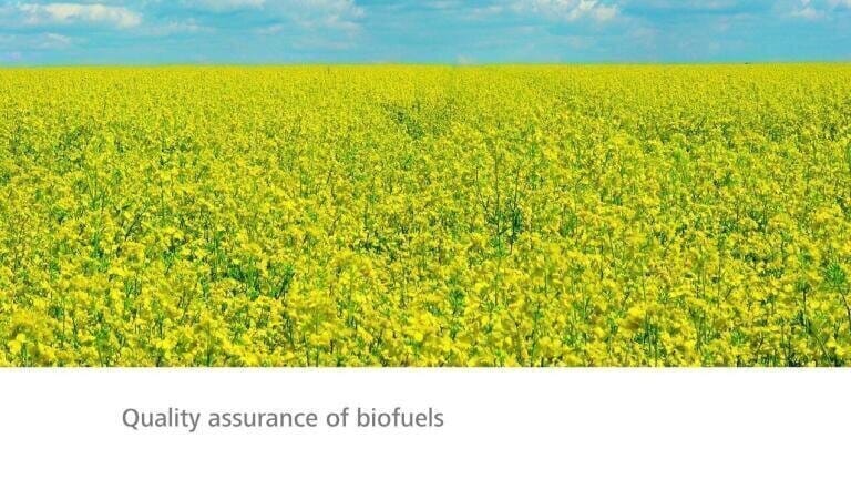 Straightforward Determination of Alkaline and Alkaline-Earth Cations in Biodiesel