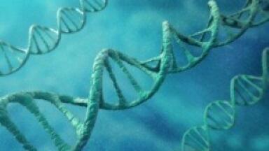 New lab test examines how DNA modifications lead to disruption in protein synthesis.