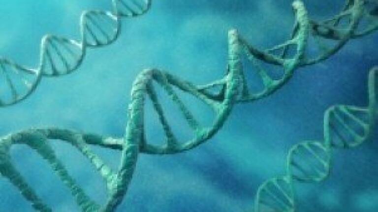 New lab test examines how DNA modifications lead to disruption in protein synthesis.