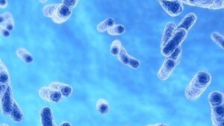 Biochemists find drug which renders bacteria helpless