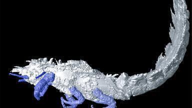 Images of 300 million old insects revealed