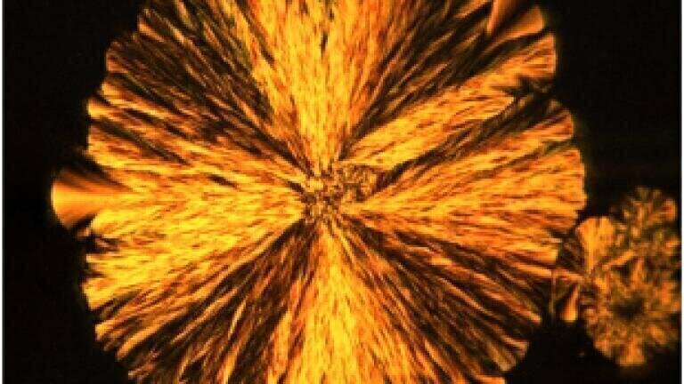 Software helps Scientists from Loughborough and Nottingham Universities to image fat crystals in chocolate