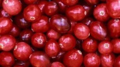 UTIs are not prevented by consuming cranberry products, says study