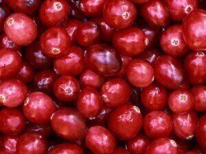 UTIs are not prevented by consuming cranberry products, says study