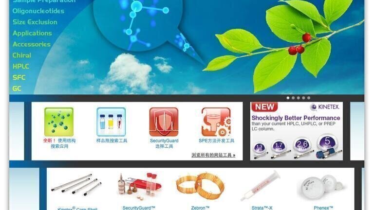 New Website Delivers Web Tools Round-the-Clock in Chinese