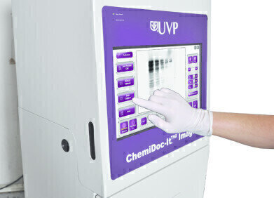Touch the Future of Gel and Blot Imaging with the ChemiDoc-ItTS2 Imager