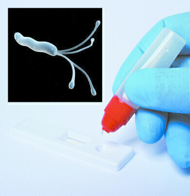 New Easy-Card H.pylori Antigen Test 